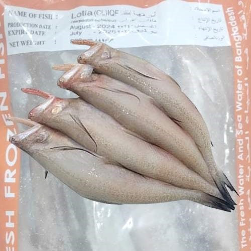 Cá Fzn Lotia 900g