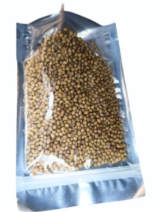 HẠT NGÒ - HẠT NGÒ 1KG