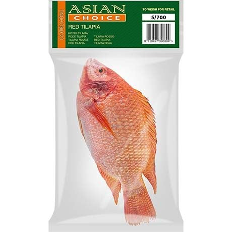 Frozen Gutted Red Tilapia