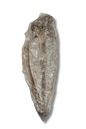 Mực Khô Vn Size To